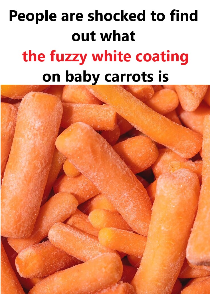 What The Fuzzy White Coating On Baby Carrots Is Best Recipes